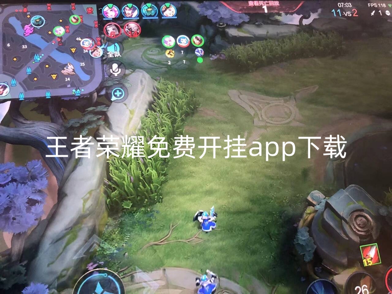 王者荣耀免费开挂app下载-王者一体直装【天神荡】